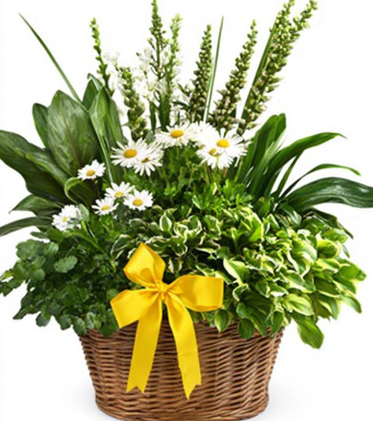 Simple Beauty Bouquet