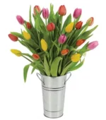 Spring Tulip Surprise