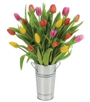 Spring Tulip Surprise