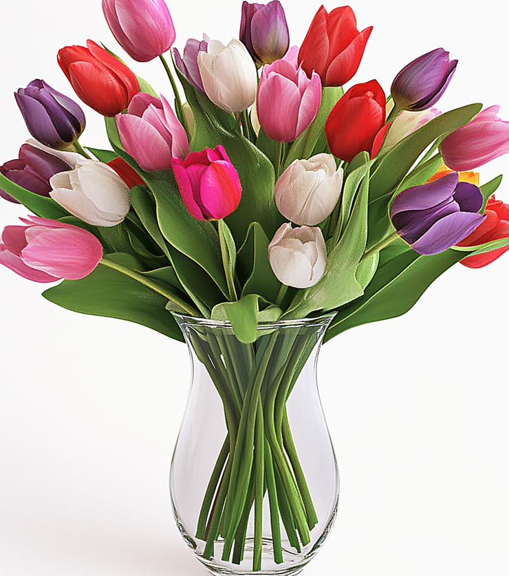Spring Tulips