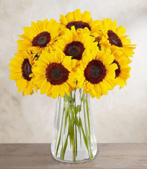 Sunflowers in Vase