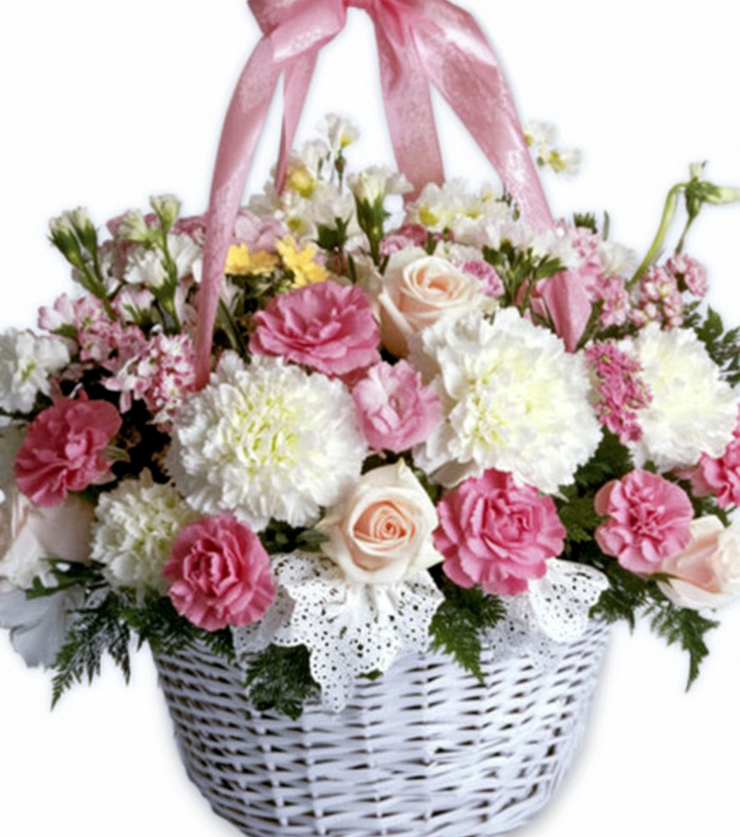 Sweet Surprises