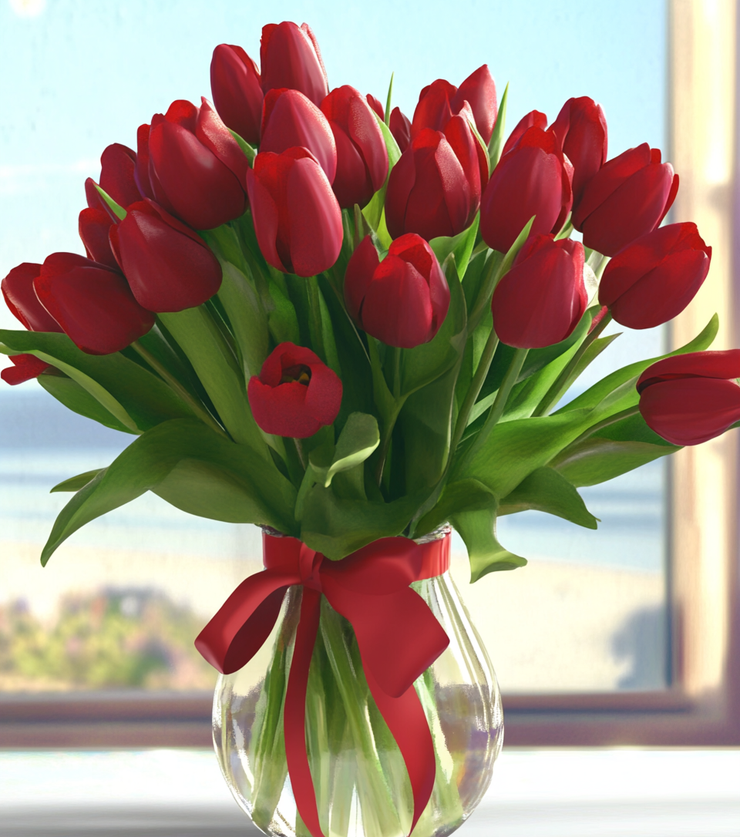 True Love Tulips