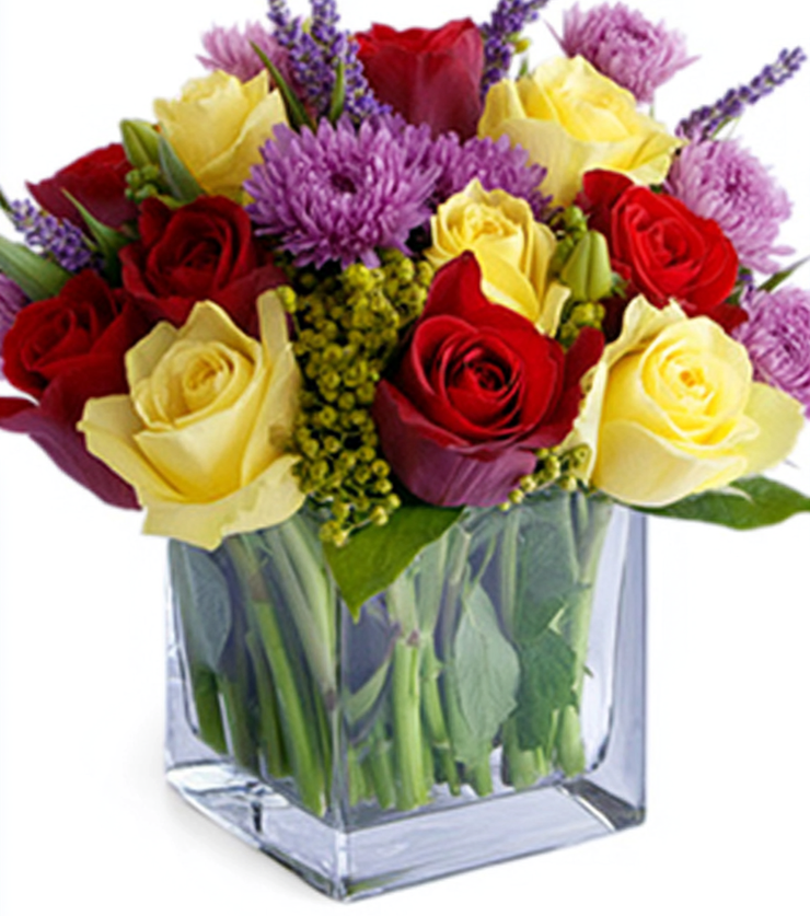 Vibrant Violets