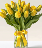 Yellow tulips