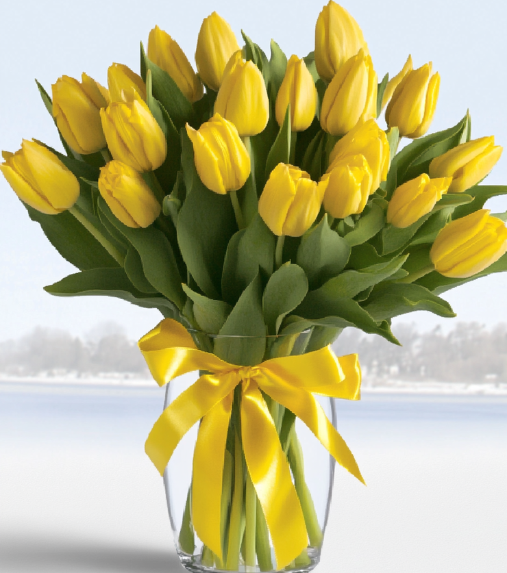Yellow tulips