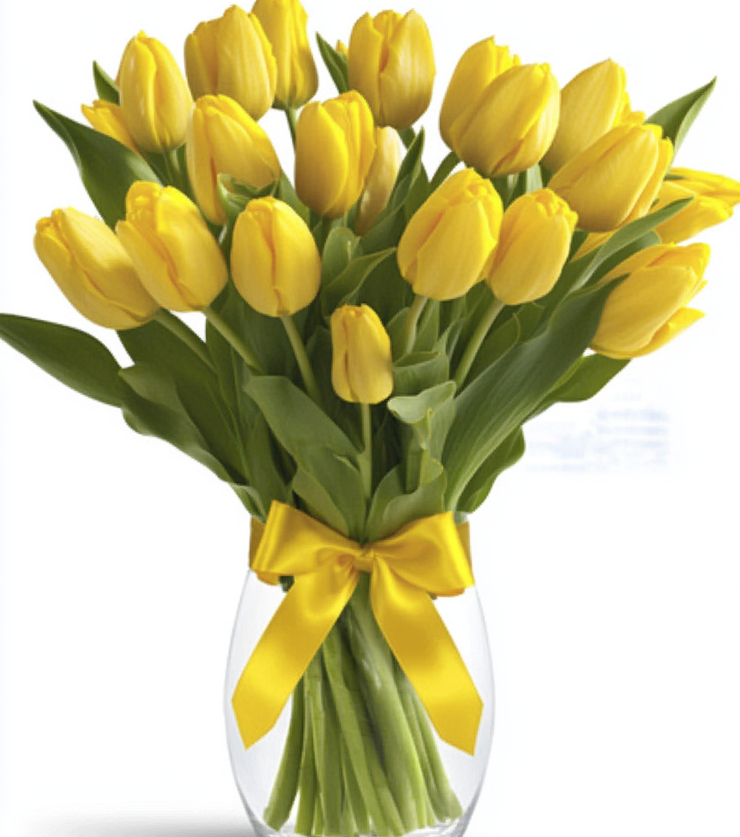 Yellow tulips