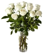 White Roses