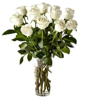 White Roses