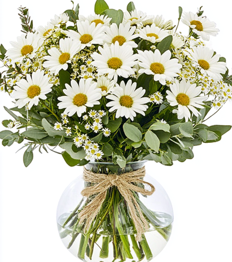 All-White Shimmering Daisies