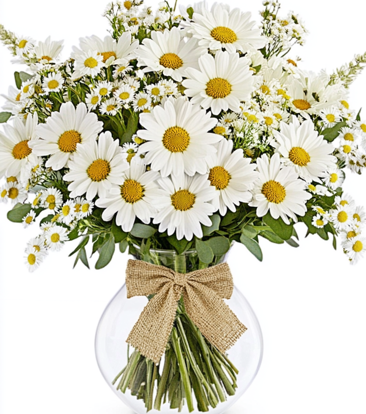 All-White Shimmering Daisies