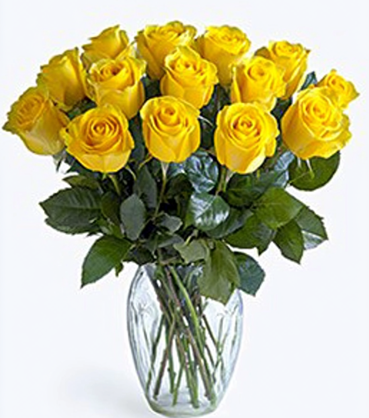 Elegant Blooms