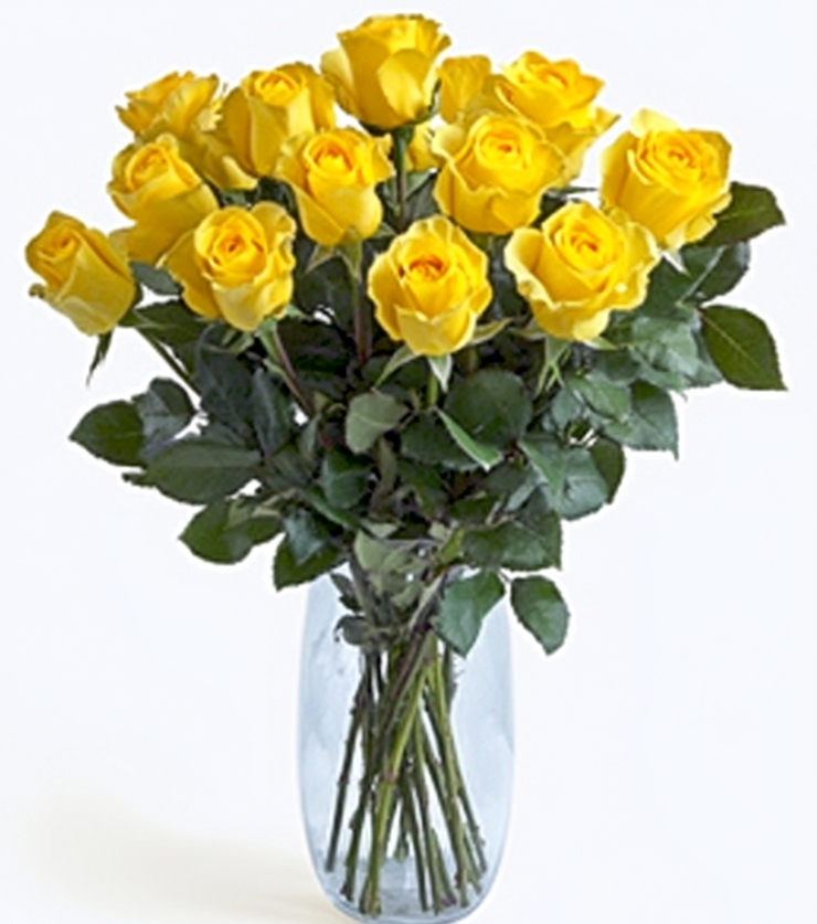 Elegant Blooms