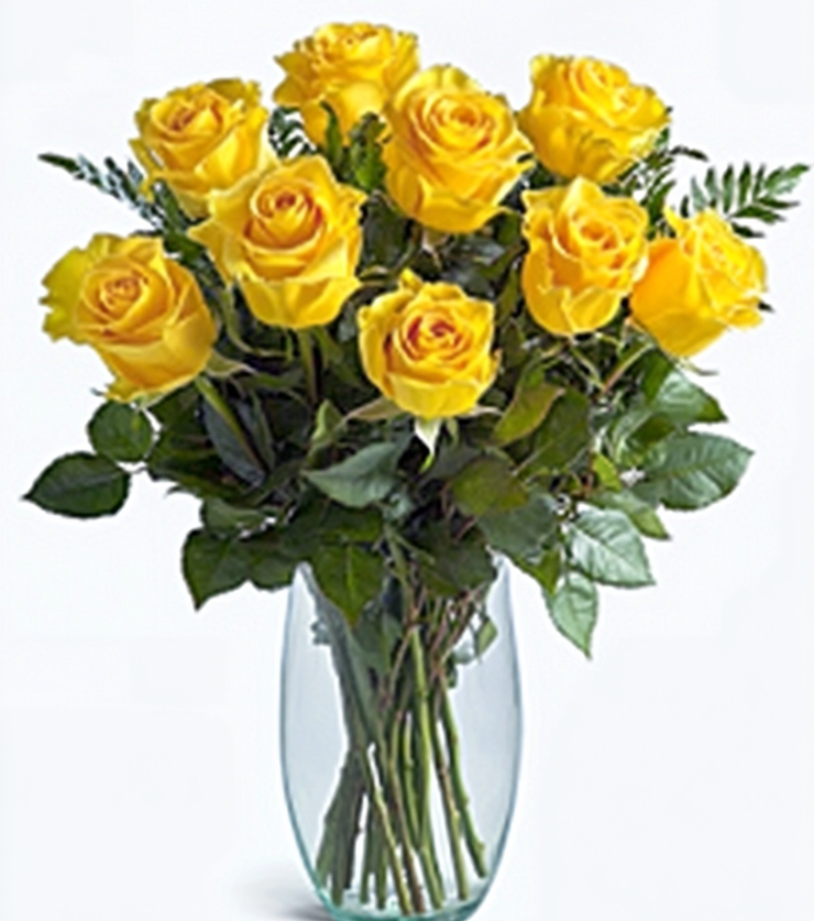 Elegant Blooms