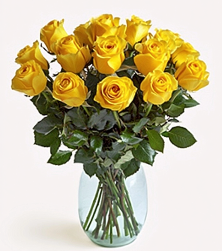Elegant Blooms