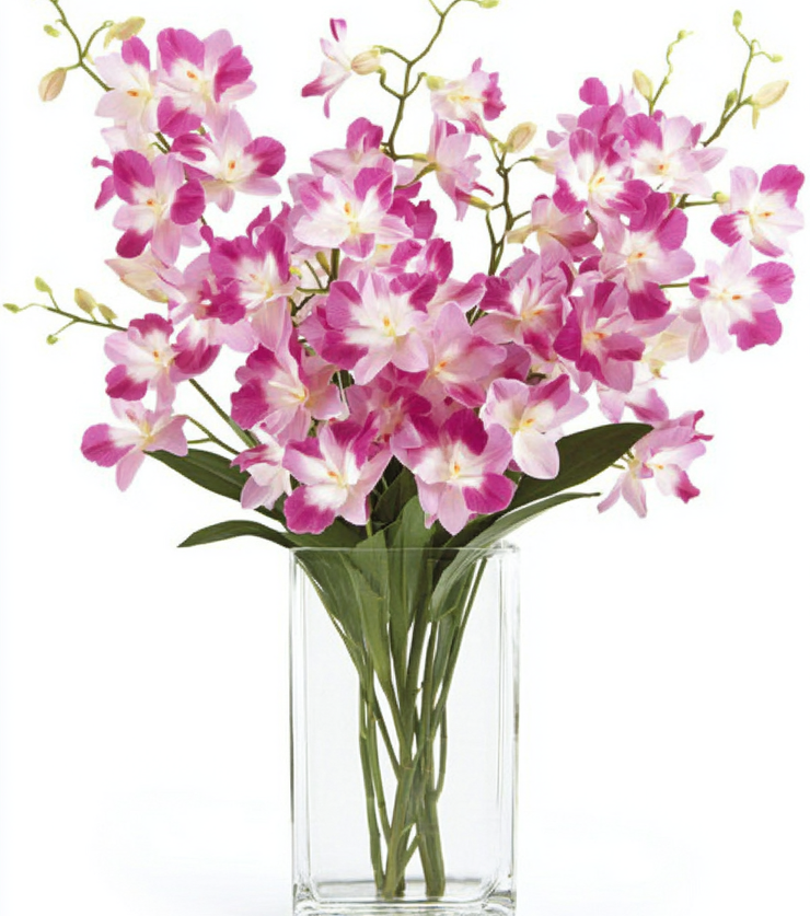 Exotic Orchids