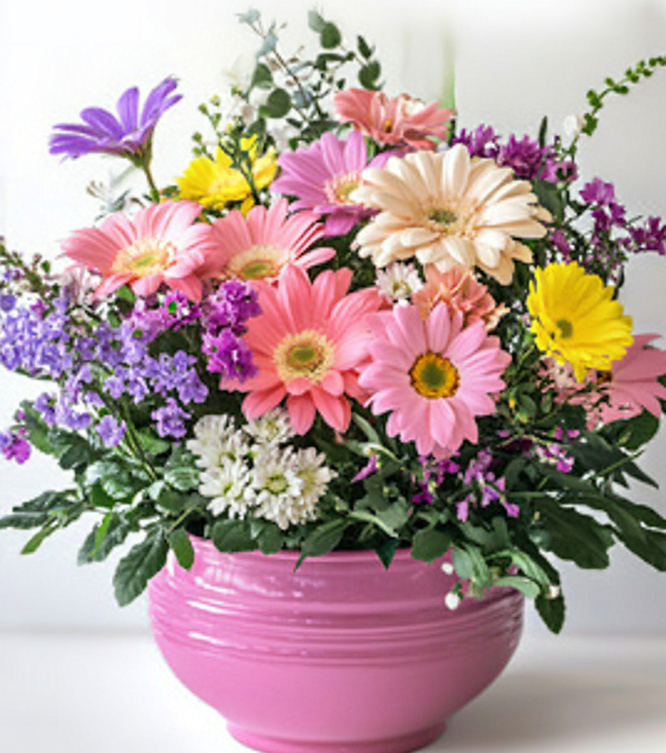 Exquisite Flowers