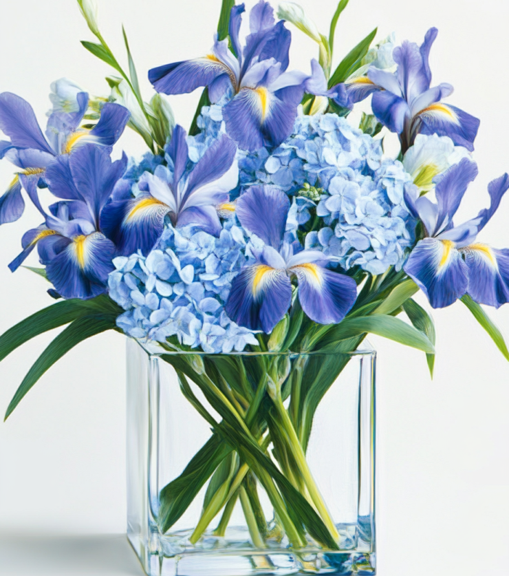 Full Blue Hydrangea
