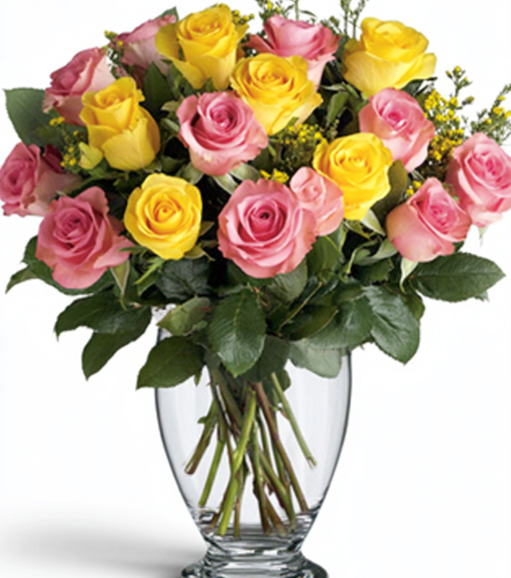 Luxurious Roses