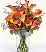 Mango Calla Lilies