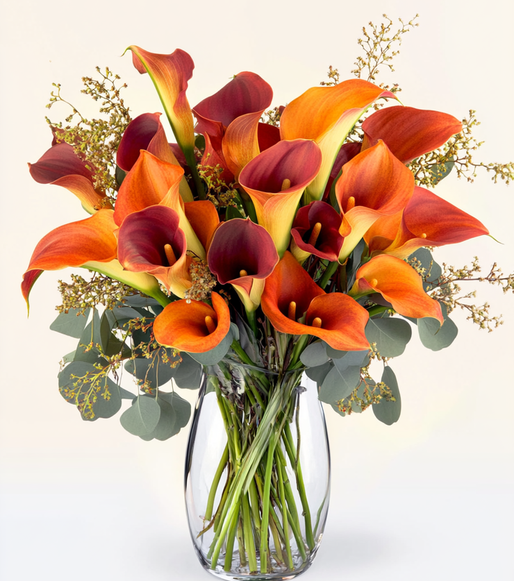 Mango Calla Lilies