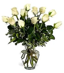 One Dozen White Roses