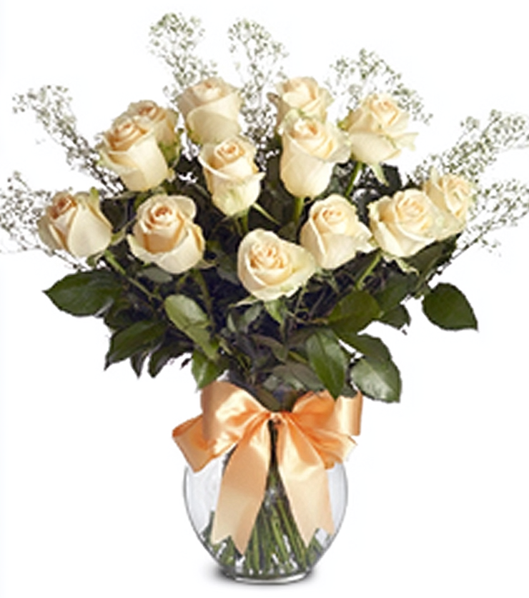 One Dozen White roses
