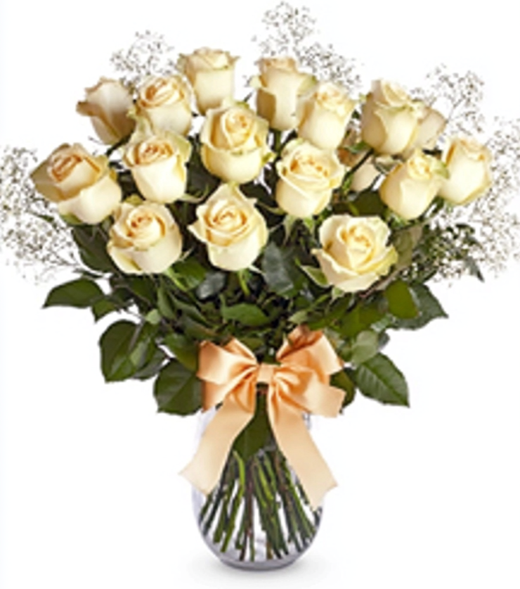 One Dozen White roses