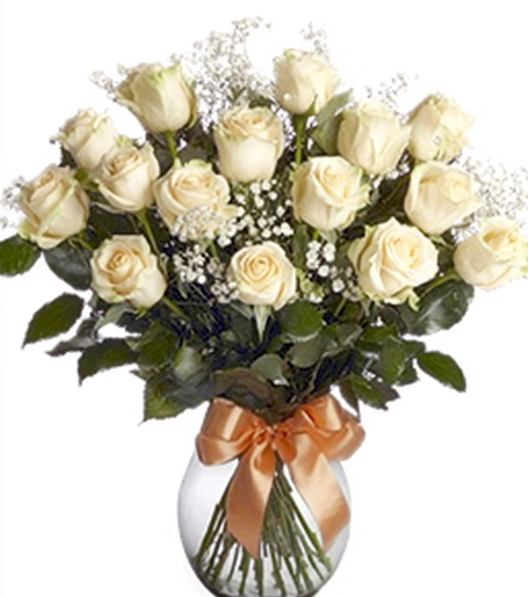 One Dozen White roses