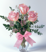 Pink Roses