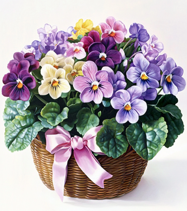 Potted Perfection Violets