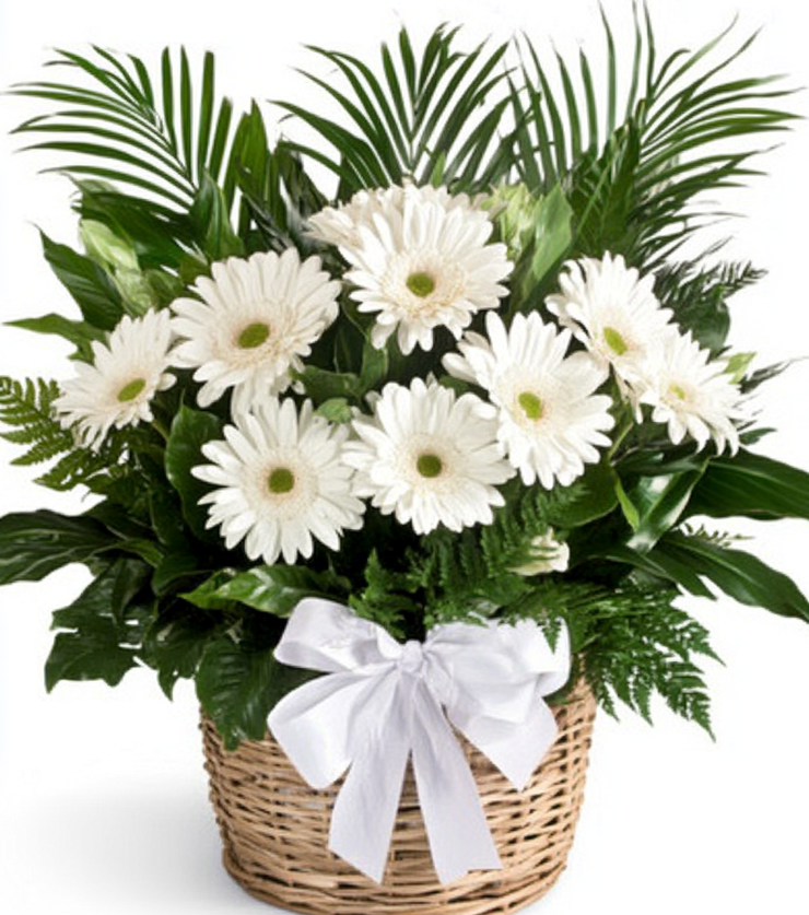 Pure Charm Basket