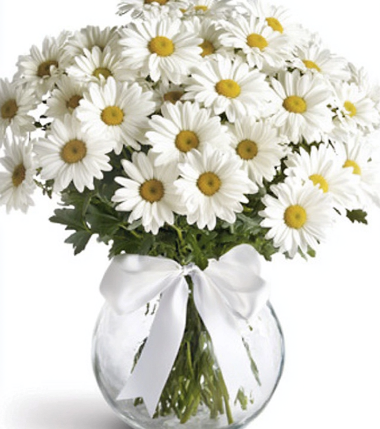 Pure Daisy Bouquet