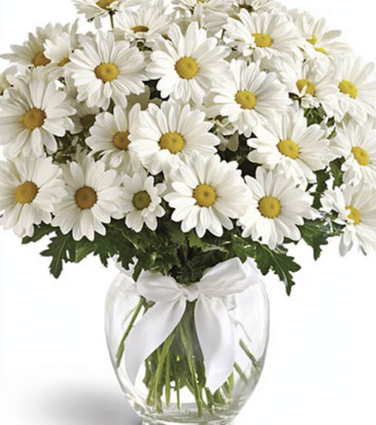 Pure Daisy Bouquet