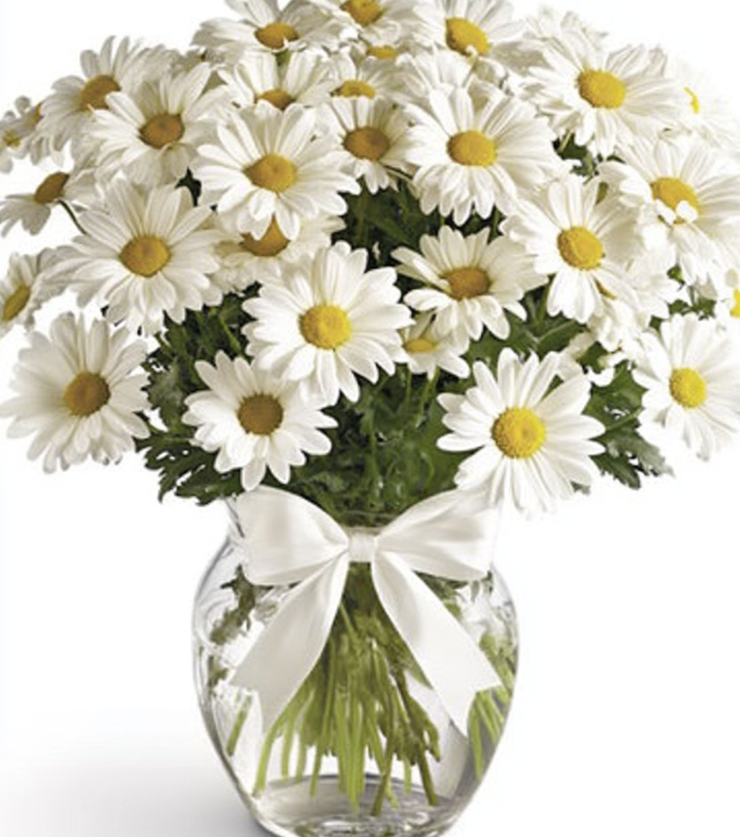 Pure Daisy Bouquet
