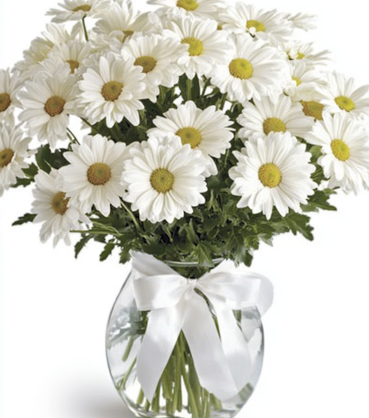 Pure Daisy Bouquet