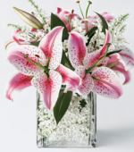 Sensual Stargazer Lilies