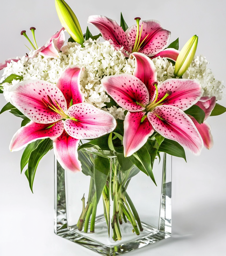 Sensual Stargazer Lilies