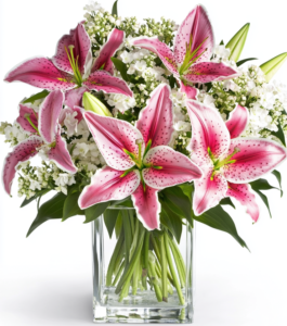 Starlight Lilies