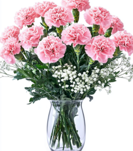 Sweet Carnations