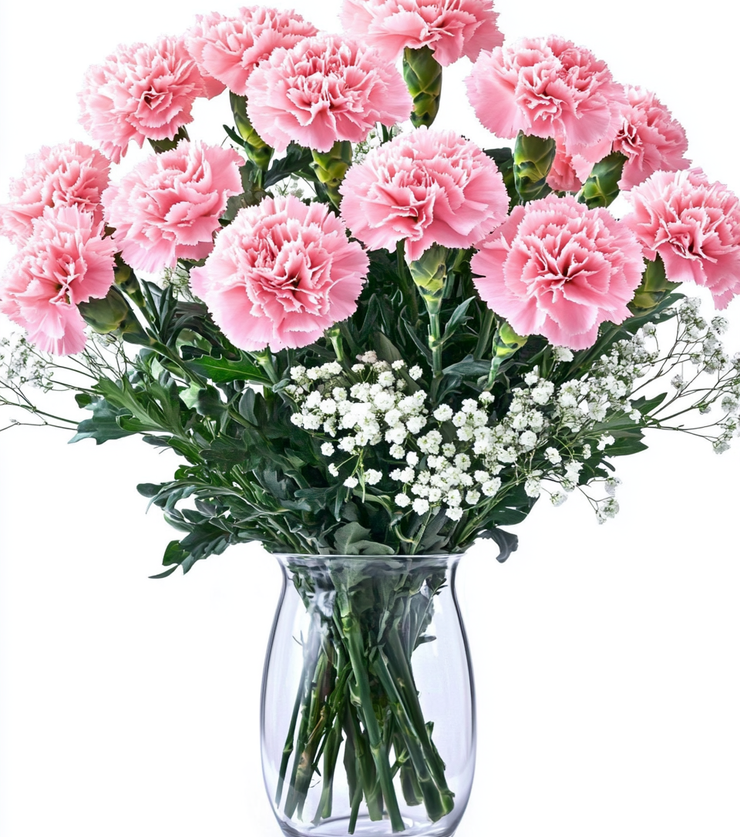 Sweet Carnations
