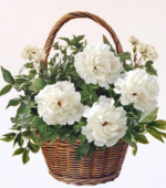 The Thoughtful Basket