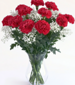 Vibrant Carnations