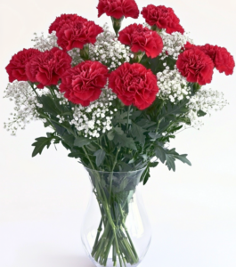 Vibrant Carnations