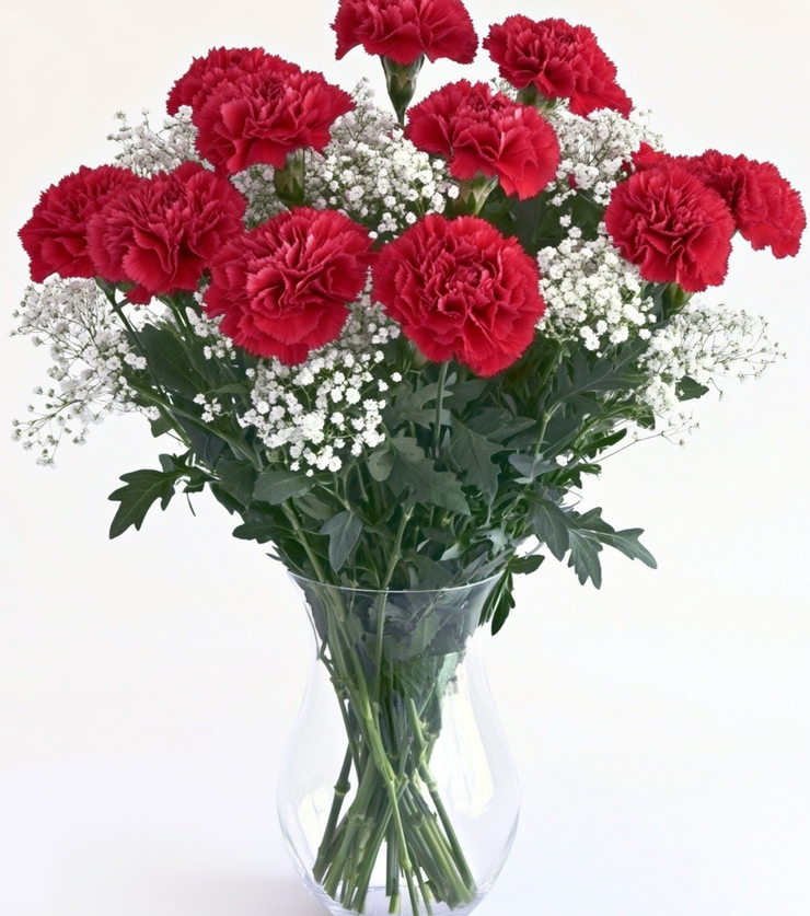 Vibrant Carnations