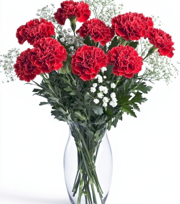 Vibrant Carnations