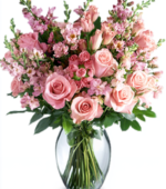 White and Pink Roses