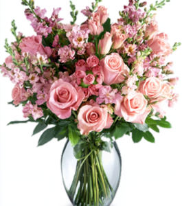 White and Pink Roses
