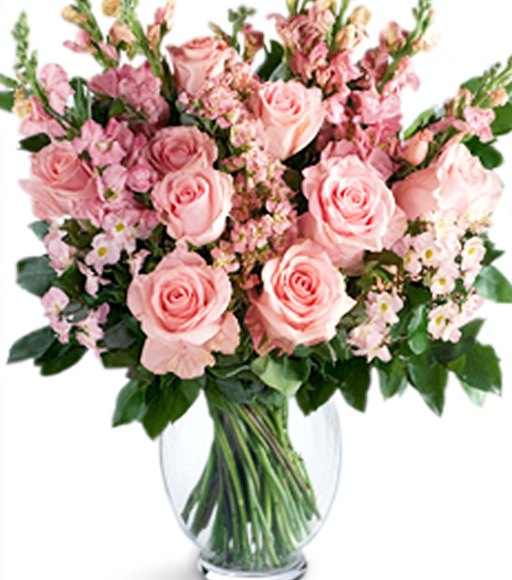 White and Pink Roses
