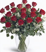2 Dozen Red Roses